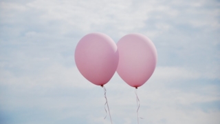 Thumbnail of post image 095