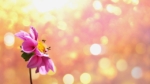 Thumbnail of post image 066