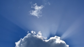 Thumbnail of post image 039