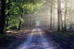 Thumbnail of post image 085
