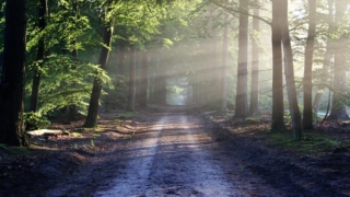 Thumbnail of post image 010