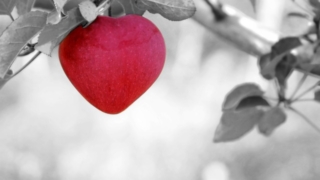 Thumbnail of post image 066