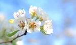 Thumbnail of post image 170