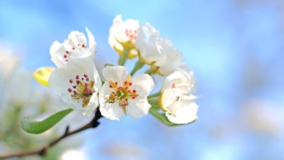 Thumbnail of post image 161