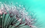 Thumbnail of post image 068