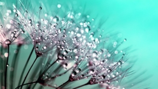 Thumbnail of post image 130