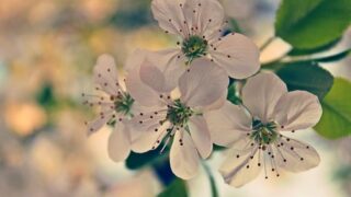 変化を可能にする目標の立て方