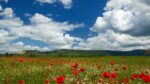 Thumbnail of post image 038
