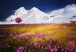 Thumbnail of post image 005