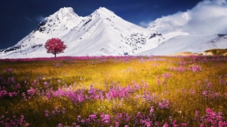 Thumbnail of post image 052