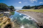 Thumbnail of post image 121