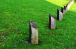 Thumbnail of post image 151