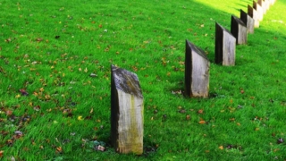 Thumbnail of post image 048