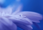Thumbnail of post image 016
