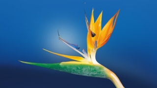 Thumbnail of post image 058