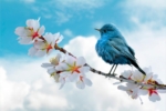 Thumbnail of post image 082