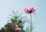 Thumbnail of post image 012