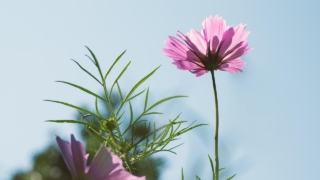 Thumbnail of post image 090