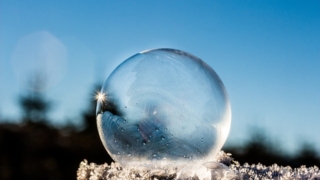 Thumbnail of post image 008