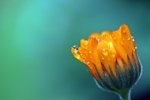 Thumbnail of post image 152