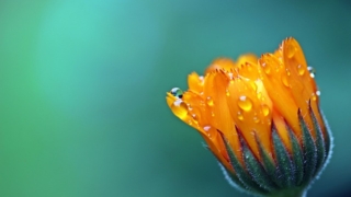 Thumbnail of post image 144