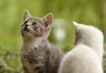 Thumbnail of post image 066