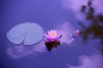 Thumbnail of post image 000