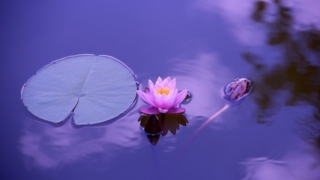 Thumbnail of post image 029