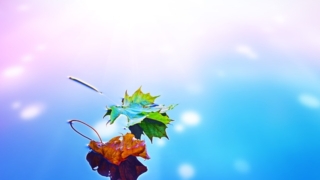 Thumbnail of post image 128