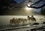 Thumbnail of post image 002