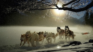 Thumbnail of post image 040