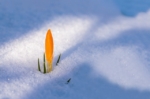 Thumbnail of post image 031
