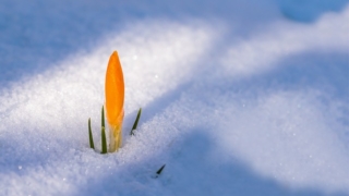 Thumbnail of post image 123