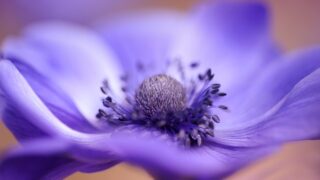 Thumbnail of post image 036