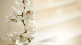 Thumbnail of post image 134