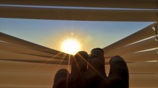 Thumbnail of post image 169
